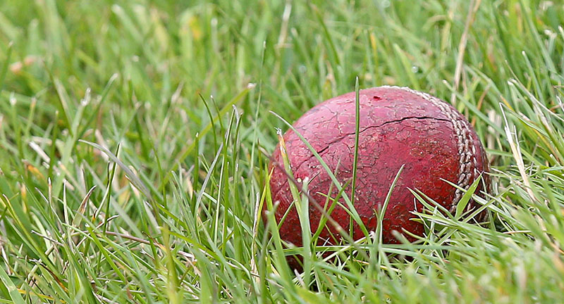 blog-cricket-superstitions-ball-grass.jpg