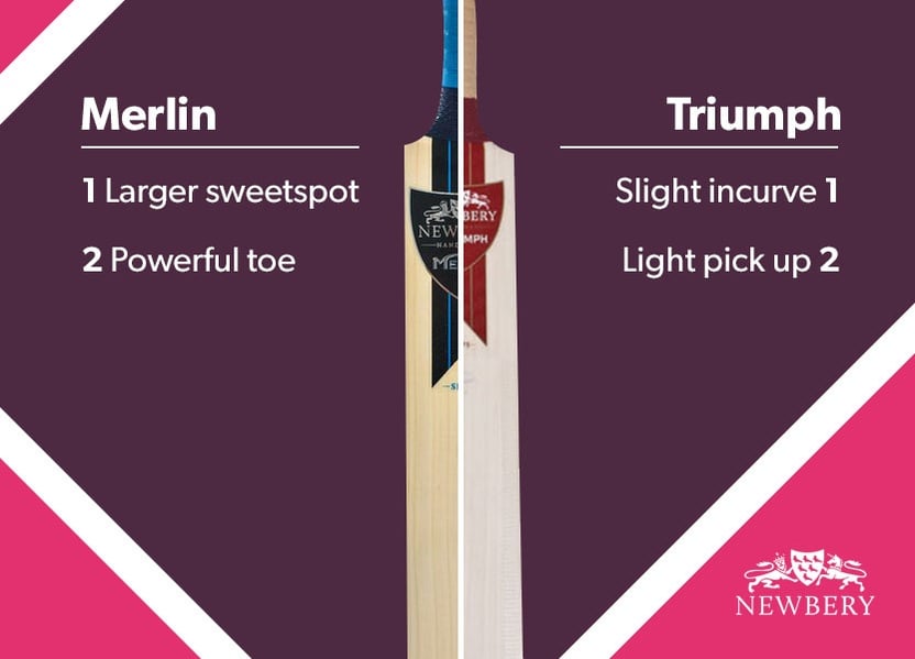 blog best bats 2017 Newberry Merlin and Triumph