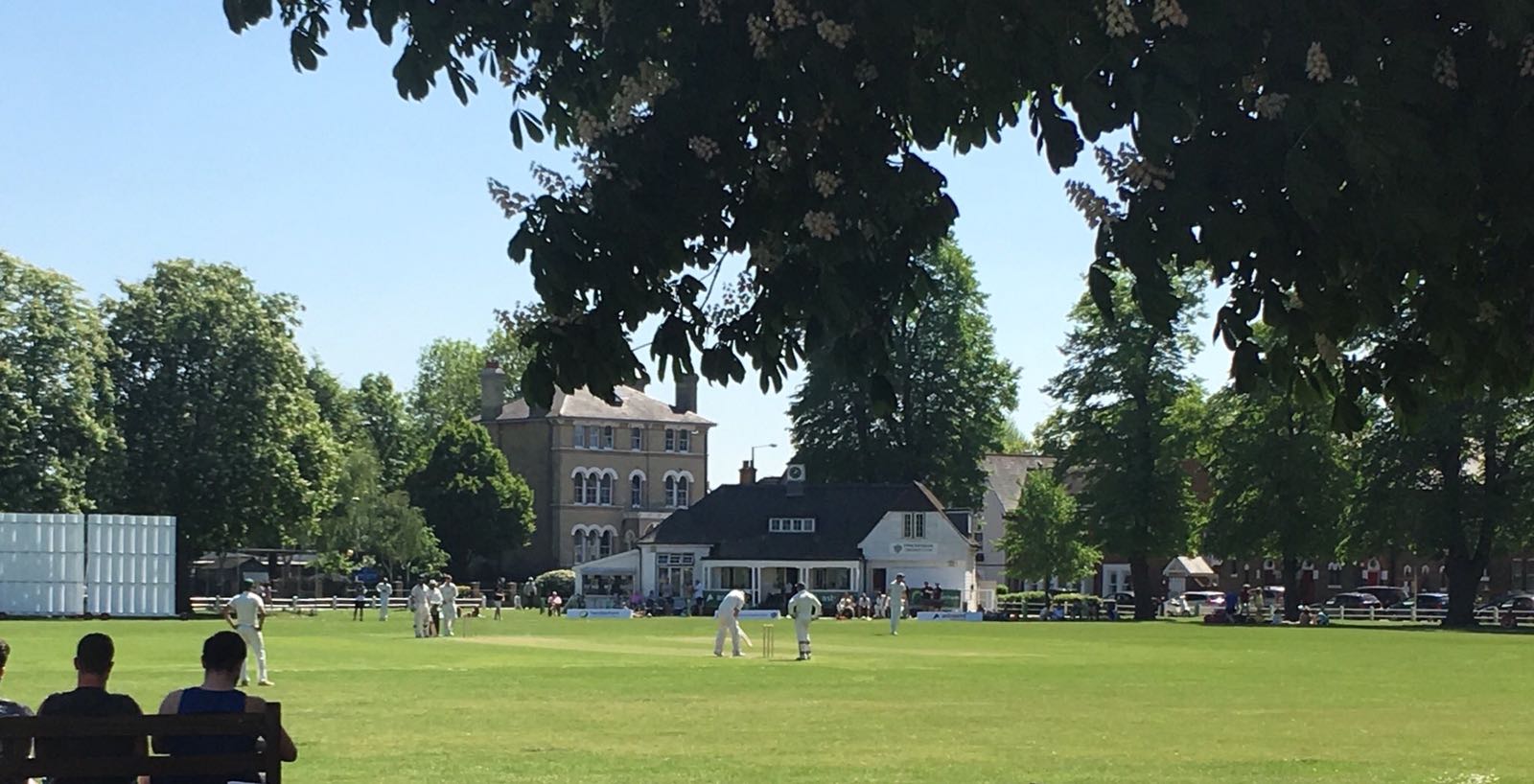 Twickenham Cricket