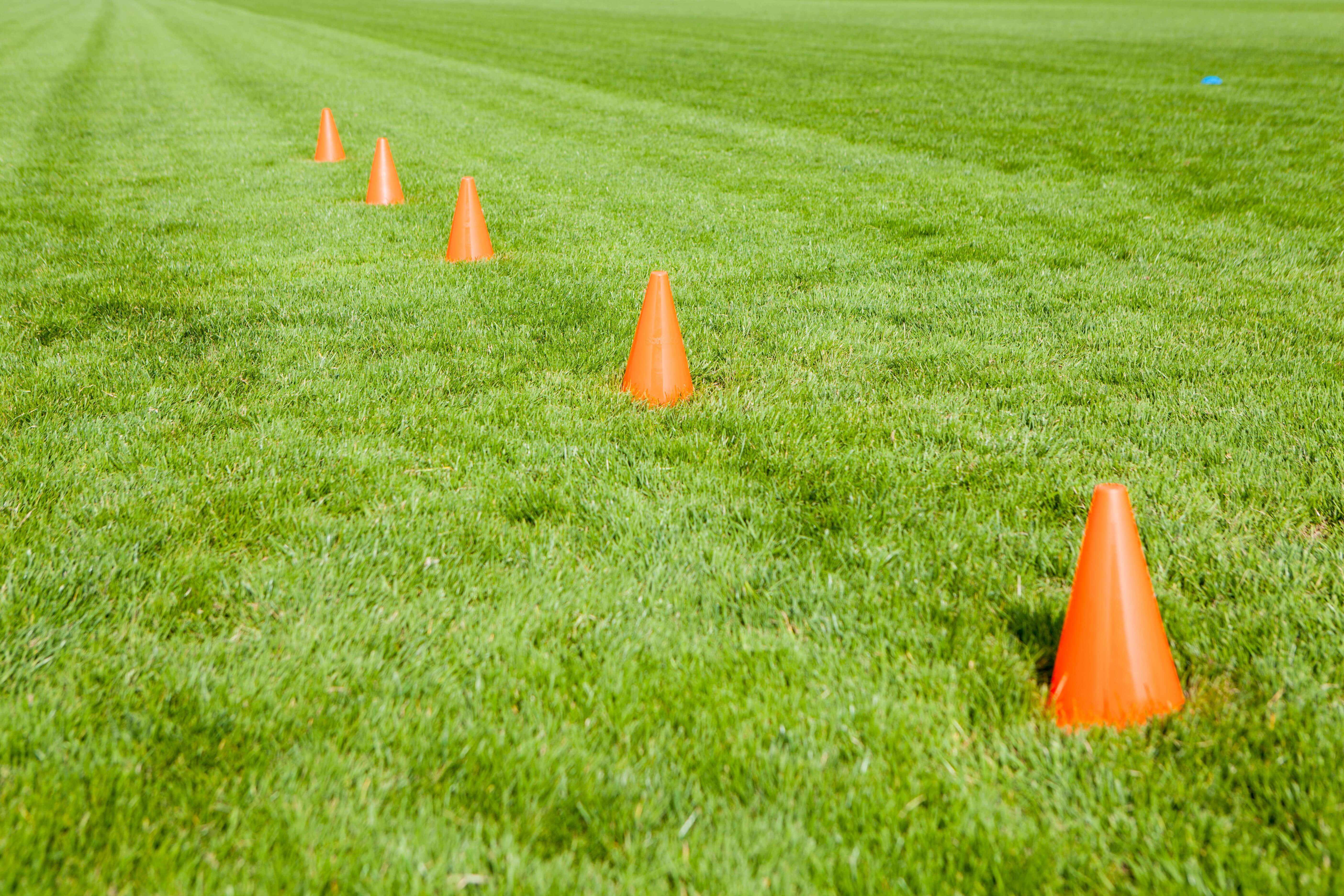 Cones1.jpg