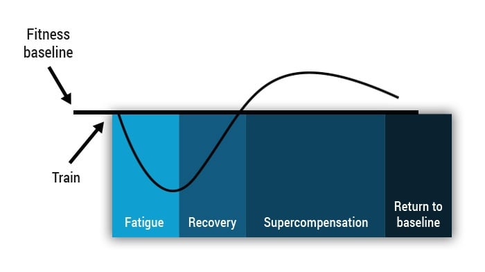 graphic with points system for maximising recovery from matches